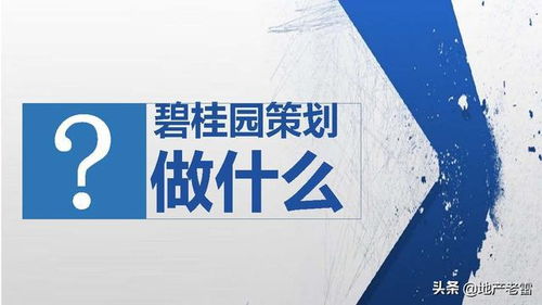 碧桂園項目開盤前策劃標(biāo)準(zhǔn)動作指引